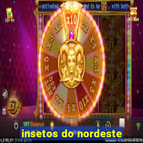 insetos do nordeste